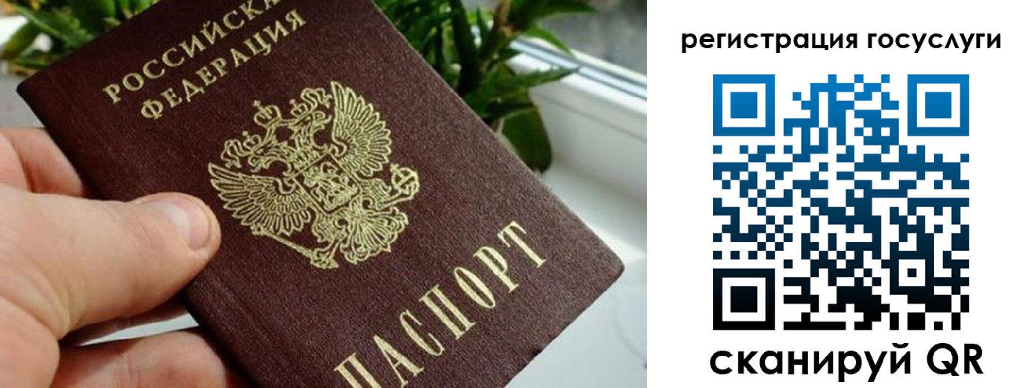 прописка для кредита в Бийске